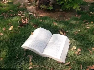 Read more about the article If not now, then when?