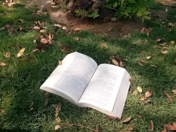 Read more about the article If not now, then when?