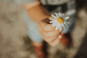 Read more about the article The grateful are the joyful !