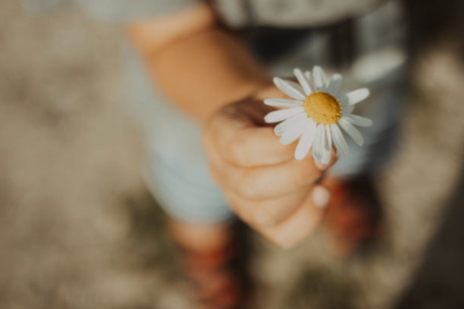 You are currently viewing The grateful are the joyful !